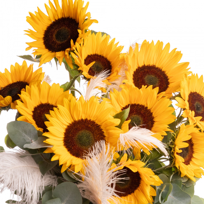 Buchet de flori cadou cu floarea-soarelui, eucalipt si pene, varianta deluxe, pe un fundal alb, detaliu