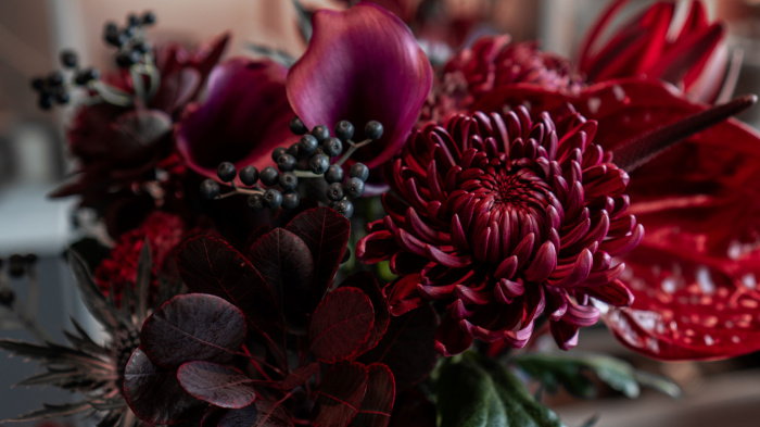 Ce flori se potrivesc celor din zodia Scorpion – ghid de cadouri florale