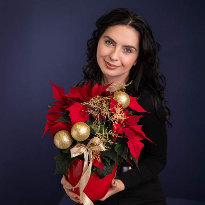 Aranjament Craciunita aurita