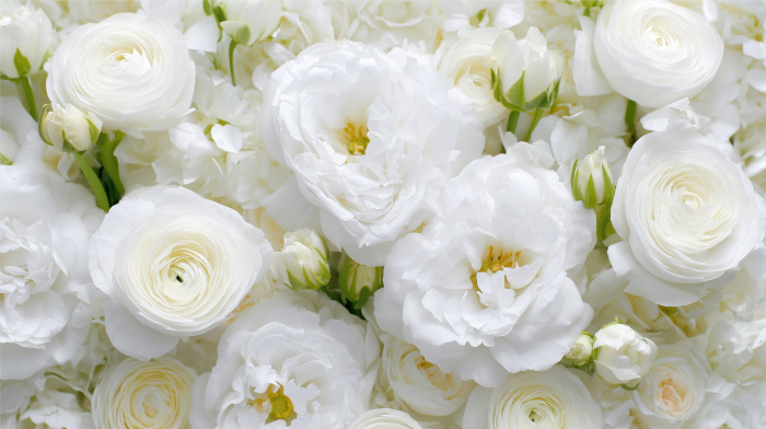 Culoarea anului 2026 in arta florala: cum redefineste Cloud Dancer eleganta naturala