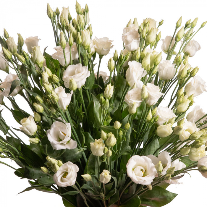 Buchet lisianthus alb – imaginea 2
