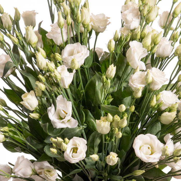 Buchet lisianthus alb