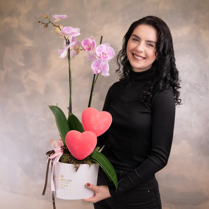 Orhidee delicata – imaginea 3