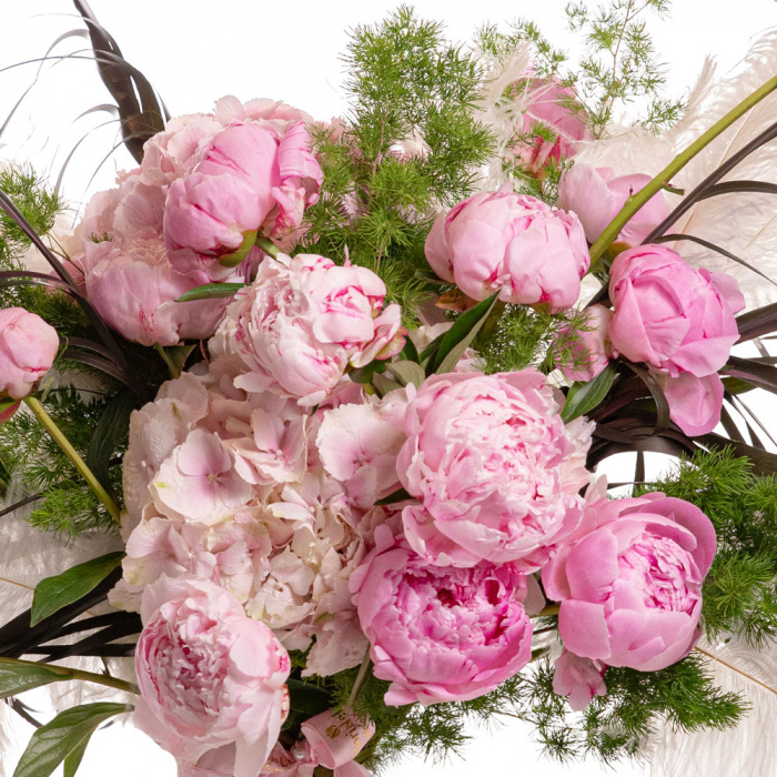 Detaliu de aproape cu florile din Buchet cu bujori si hortensii 'Blush Fantasy', varianta Deluxe, compus din 17 bujori roz, 4 crengute de asparagus umbelatus, 2 pene shishi, 4 frunze de cordyline si 2 hortensii roz