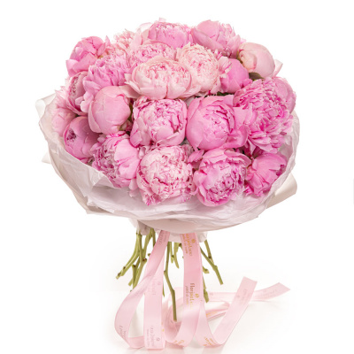 Vedere de ansamblu a produsului Buchet cu bujori 'Pink Cloud', varianta Premium, compus din 27 bujori roz