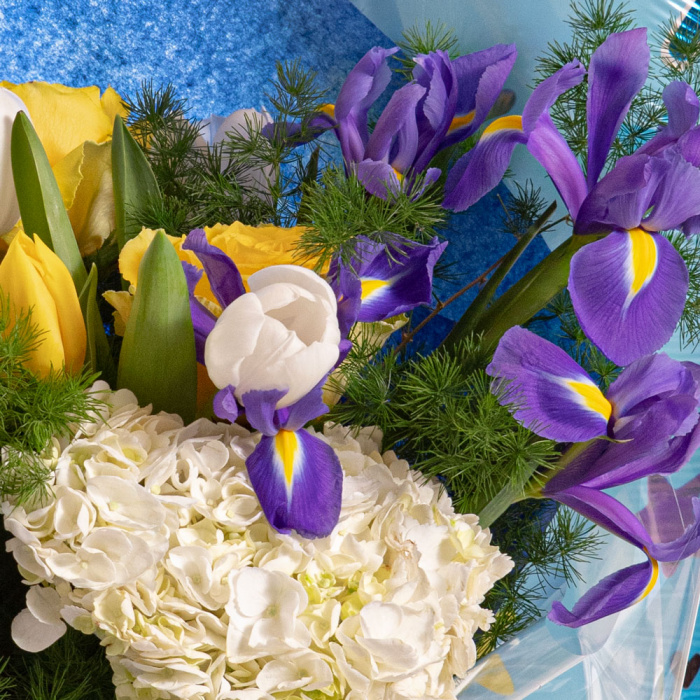 Detaliu de aproape cu florile din Cadou nou-nascut baiat- Buchet, Balon si Ursulet, varianta Standard, compusa din 5 irisi, 1 hortensie alba, 3 lalele galbene, 4 lalele albe, 2 crengute de asparagus si 3 trandafiri galbeni