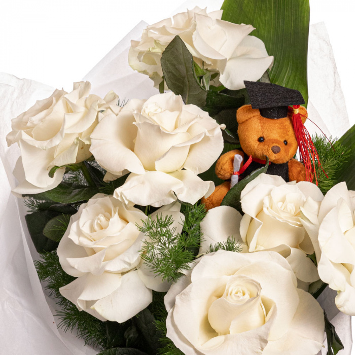 Detaliu de aproape cu florile din Buchet absolvire cu trandafiri albi, varianta Deluxe, compusa din 7 trandafiri albi, 1 ursulet cu toca, 2 frunze de aspidistra si 5 crengute de asparagus umbelatus