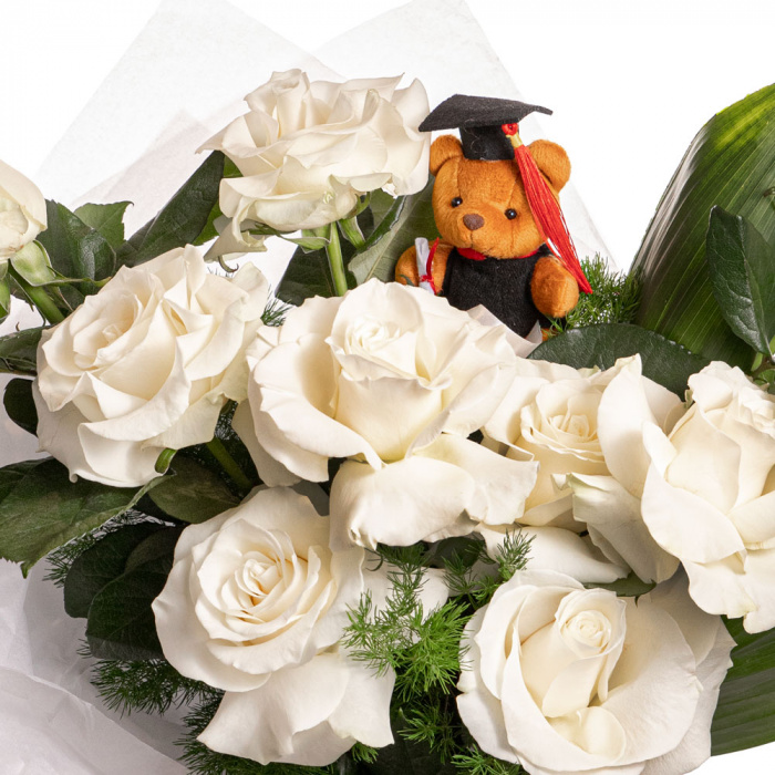 Detaliu de aproape cu florile din Buchet absolvire cu trandafiri albi, varianta Premium, compusa din 9 trandafiri albi, 1 ursulet cu toca, 2 frunze de aspidistra si 6 crengute de asparagus umbelatus