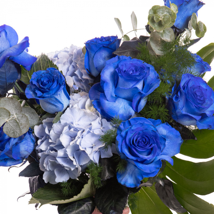 Detaliu de aproape cu florile din Buchet cu trandafiri albastri, varianta Deluxe, compusa din 9 trandafiri albastri, 3 crengute de eucalipt, 1 frunza de monstera, 2 flori de hydrangea albastra, 2 crengute de asparagus umbelatus