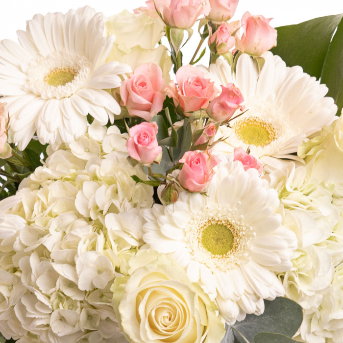 Detaliu de aproape cu florile din Buchet cu gerbera, trandafiri si monstera, varianta Deluxe, compus din 2 hortensii albe, 4 gerbera albe, 3 trandafiri albi, 3 trandafiri ramificati albi, 1 frunza de monstera si 3 crengute de eucalipt