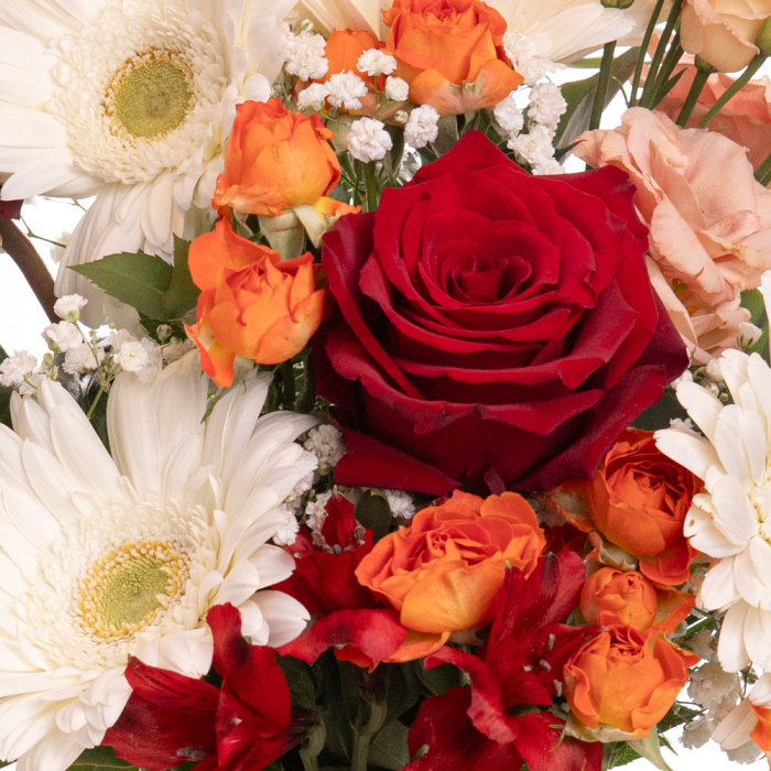 Detaliu de aproape cu florile din Buchet cu trandafiri si gerbera, varianta Deluxe, compusa din 1 fir de lisianthus somon, 4 gerbera albe, 3 trandafiri rosii freedom, 2 trandafiri ramificati portocalii, 5 fire de beargrass, 2 crengute de eucalipt, 1 fir de gypsophila si 2 alstroemeria