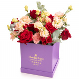 Aranjament Premium cu 7 trandafiri rosii, 3 lisianthus somon si trandafiri ramificati in cutie mov, vedere de ansamblu.